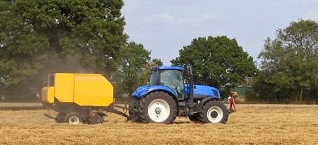 shutterstock_59151775 shutterstock_59151775